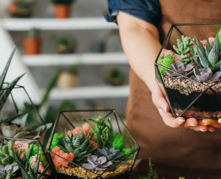 Pomysły na prezent dla miłośników roślin